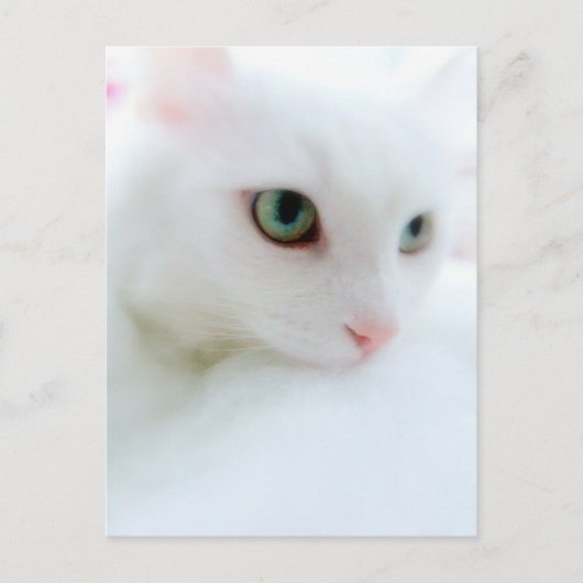 Carte Postale Nuages doux (Devant)