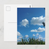Carte Postale Nuages Et Ciel Bleu (Devant / Derrière)