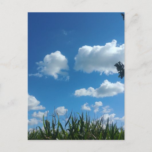 Carte Postale Nuages Et Ciel Bleu (Devant)