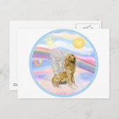Carte Postale Nuages - Golden Retriever (B1) Angel (Devant / Derrière)