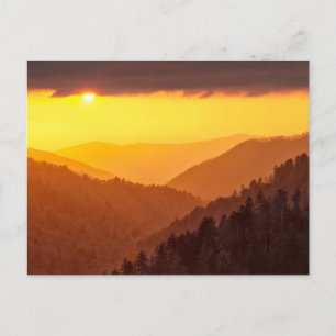 Carte Postale Nuages remplissent la vallée, Tennessee