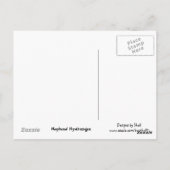 Carte Postale Nuances de l'hydrangée violette (Dos)