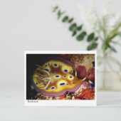 Carte Postale Nudibranche (Debout devant)
