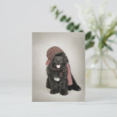 Carte Postale Nufie (Debout devant)