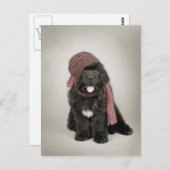 Carte Postale Nufie (Devant / Derrière)