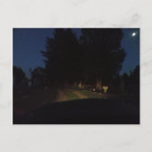 Carte Postale Nuit (Devant)