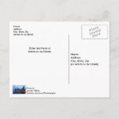 Carte Postale Nuit À Navy Pier (Dos)