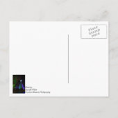 Carte Postale Nuit Arbre Sdc De 5 Étages (Dos)