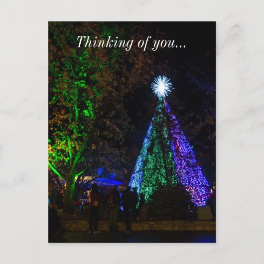 Carte Postale Nuit Arbre Sdc De 5 Étages (Devant)