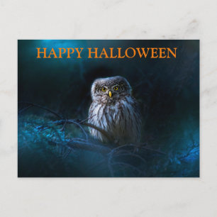 Carte Postale Nuit d'Halloween effrayant avec les hibou