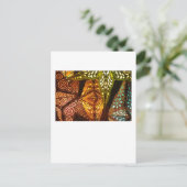 Carte Postale Nuit étoilée (Debout devant)