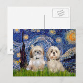 Carte Postale Nuit étoilée - 2 Sihih Tzus (P+Y) (Devant / Derrière)