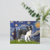 Carte Postale Nuit étoilée - Border Collie (Z) (Debout devant)