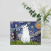 Carte Postale Nuit étoilée - Chat blanc (Debout devant)