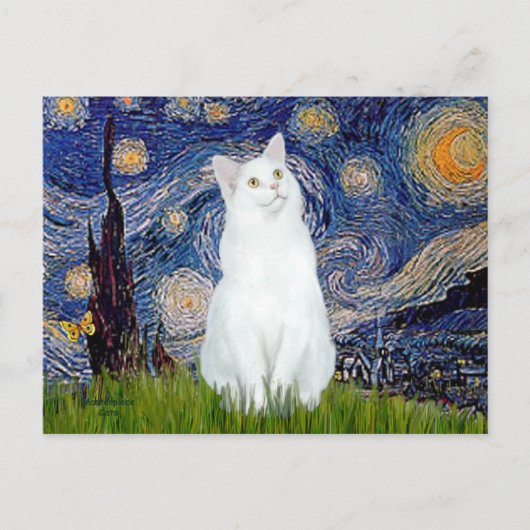 Carte Postale Nuit étoilée - Chat blanc (Devant)