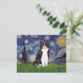 Carte Postale Nuit étoilée - Chat noir et blanc (Debout devant)