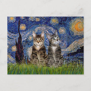 Carte Postale Nuit étoilée - Deux chats en tigre Tabby