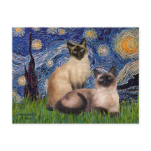Nuit étoilée - Deux chats siamois (Choc Pt)
