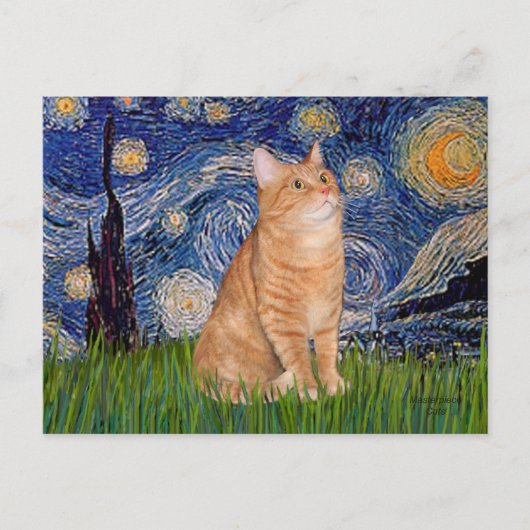 Carte Postale Nuit étoilée - Orange Tabby 46 (Devant)