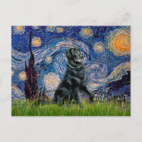 Nuit étoilée - Retrieur à revêtement plat 2