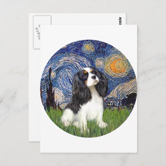 Carte Postale Nuit étoilée - Tri Cavalier #5 (Devant / Derrière)