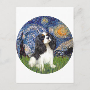 Carte Postale Nuit étoilée - Trois Cavalier #5