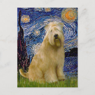 Carte Postale Nuit étoilée (V) - Wheaten Terrier