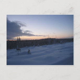 Carte Postale Nuit polaire