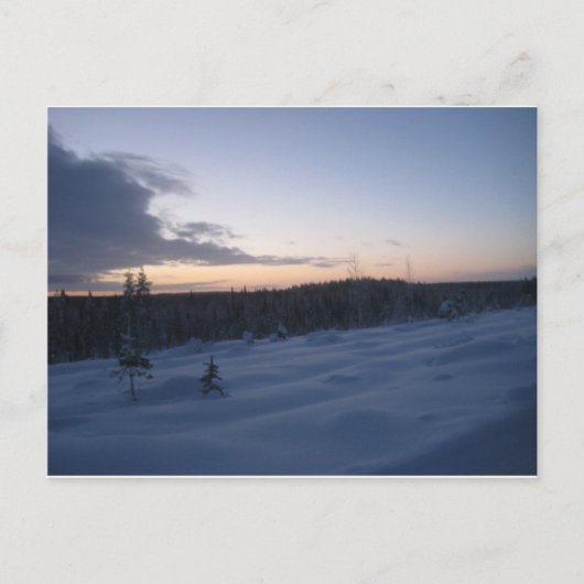 Carte Postale Nuit polaire (Devant)