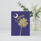 Carte Postale Nuit sur l'île de Captiva (Debout devant)