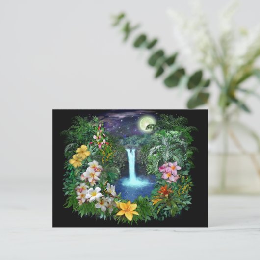 Carte Postale Nuits tropicales (Debout devant)