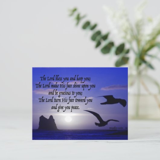 Carte Postale num 6:24-26 sur double bird blues (Debout devant)