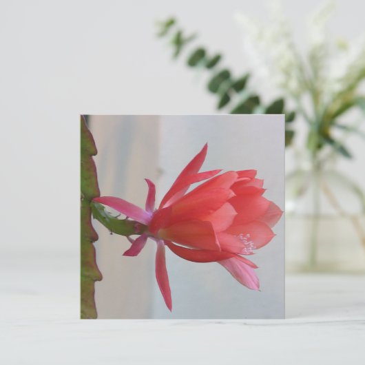 Carte postale numérique (Debout devant)