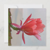 Carte postale numérique (Devant)