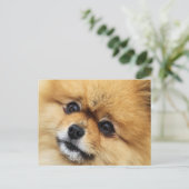 Carte Postale Numéro 1 (Debout devant)