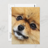 Carte Postale Numéro 1 (Devant / Derrière)