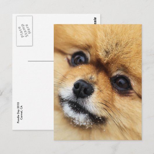 Carte Postale Numéro 1 (Devant / Derrière)