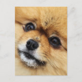 Carte Postale Numéro 1 (Devant)