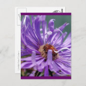 Carte Postale Numéro d'affiche sans titre 11 (Devant / Derrière)