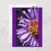 Carte Postale Numéro d'affiche sans titre 4 (Devant / Derrière)