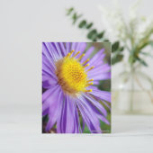 Carte Postale Numéro d'affiche sans titre 5 (Debout devant)