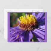 Carte Postale Numéro d'affiche sans titre 6 (Devant / Derrière)