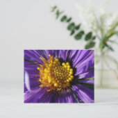 Carte Postale Numéro d'affiche sans titre 8 (Debout devant)