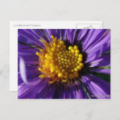 Carte Postale Numéro d'affiche sans titre 8 (Devant / Derrière)