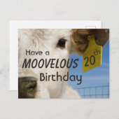 Carte Postale Numéro d'anniversaire de la vache (Devant / Derrière)