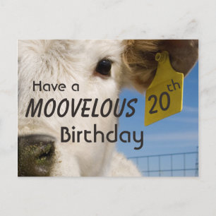 Carte Postale Numéro d'anniversaire de la vache