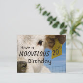 Carte Postale Numéro d'anniversaire de vache (Debout devant)