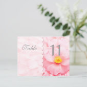 Carte postale Numéro de table de décomposition (Debout devant)