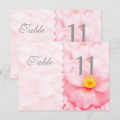 Carte postale Numéro de table de décomposition (Devant / Derrière)