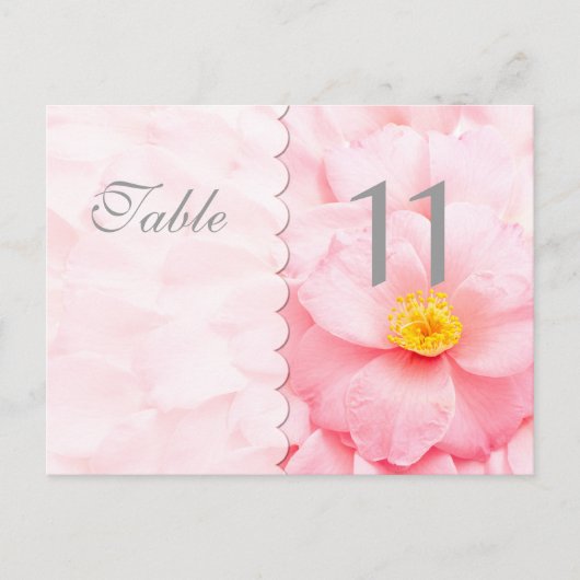 Carte postale Numéro de table de décomposition (Devant)